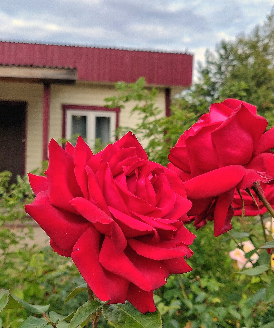 Отель Кантри Сестрорецк-44