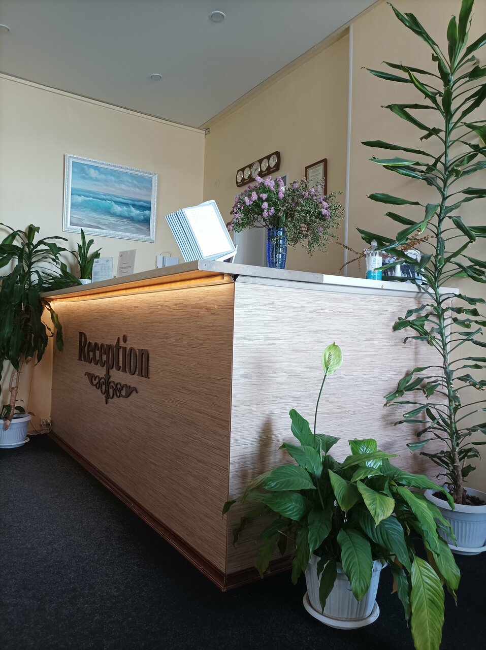 Отель Кантри Сестрорецк-122