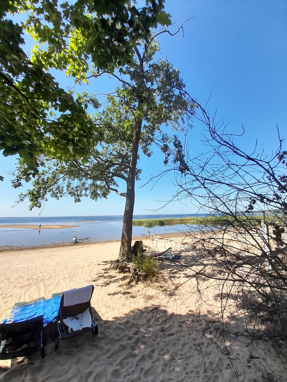 Отель Кантри Сестрорецк-245