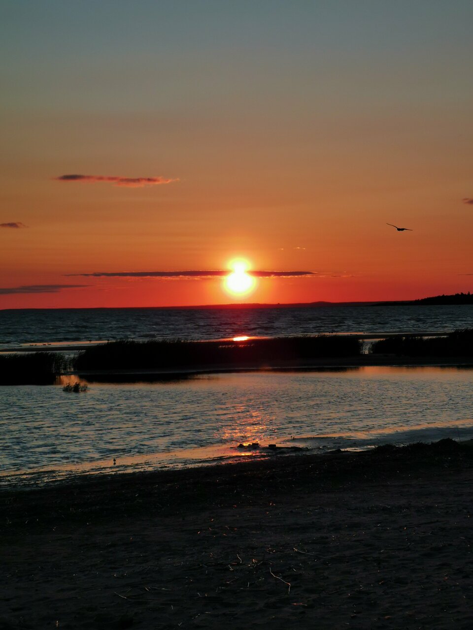 Отель Кантри Сестрорецк-247