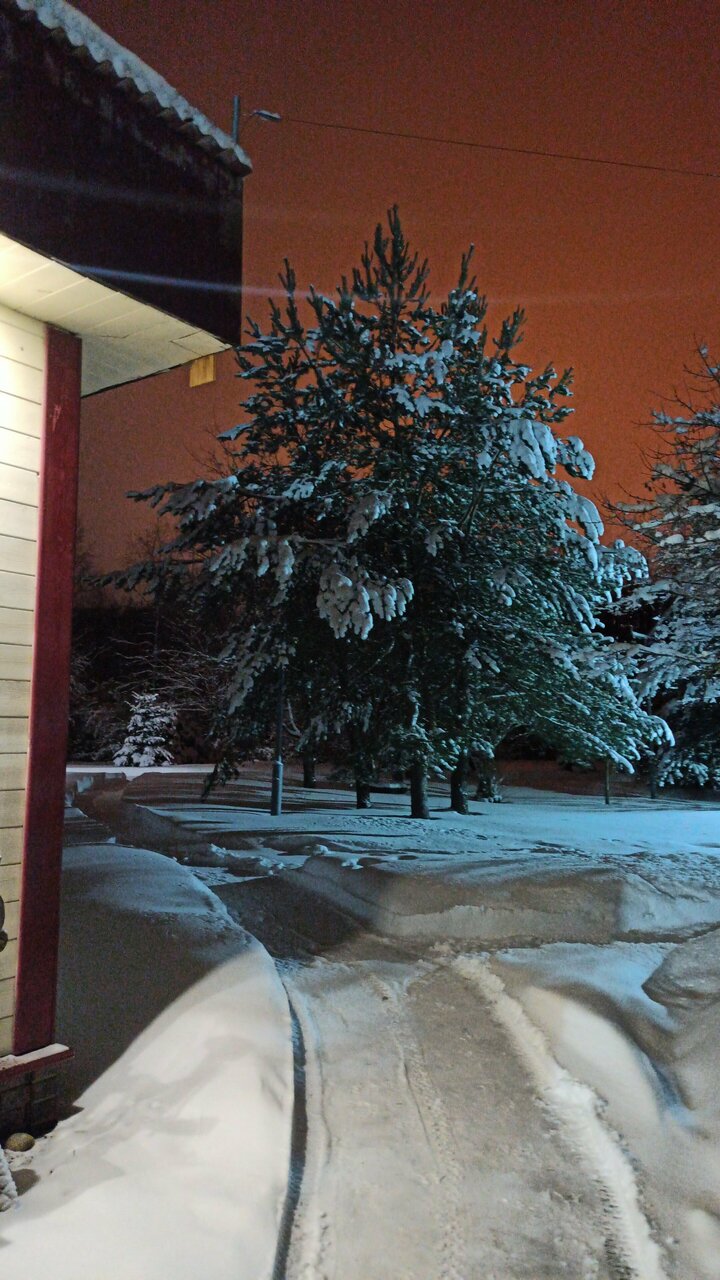 Отель Кантри Сестрорецк-235