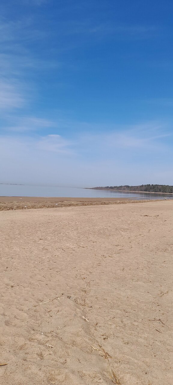 Отель Кантри Сестрорецк-236