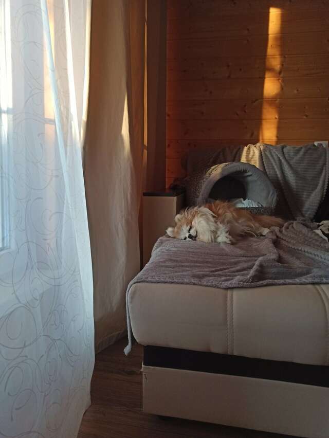 Отель Кантри Сестрорецк-189