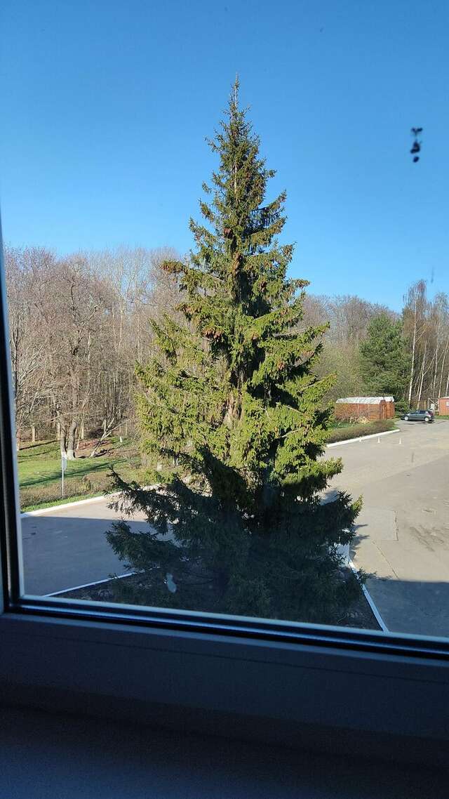 Отель Кантри Сестрорецк-192