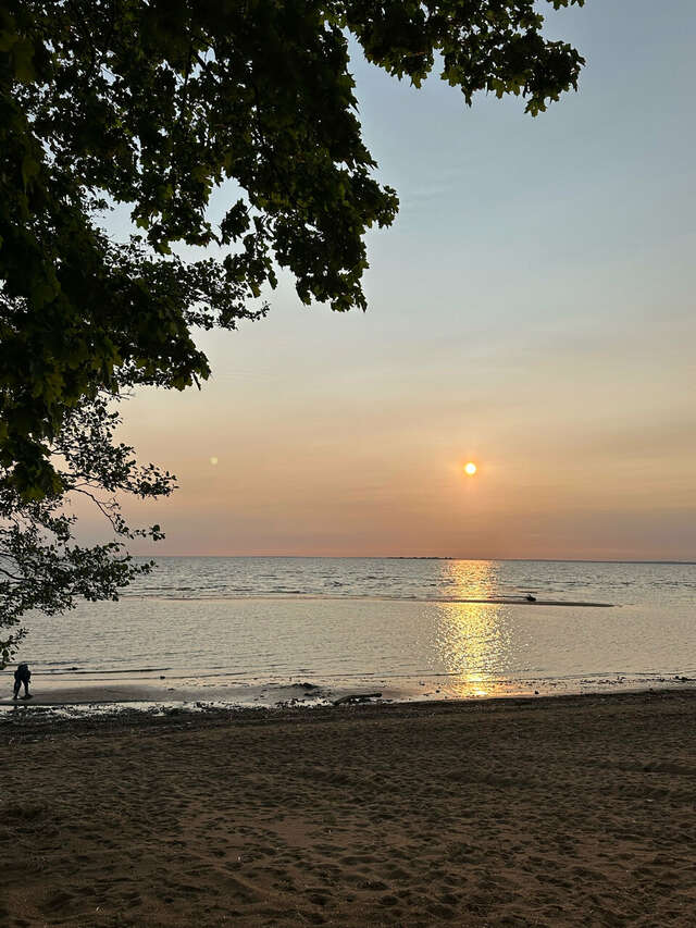 Отель Кантри Сестрорецк-213