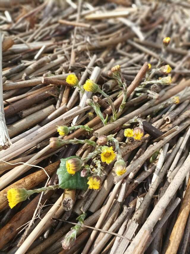 Отель Кантри Сестрорецк-134