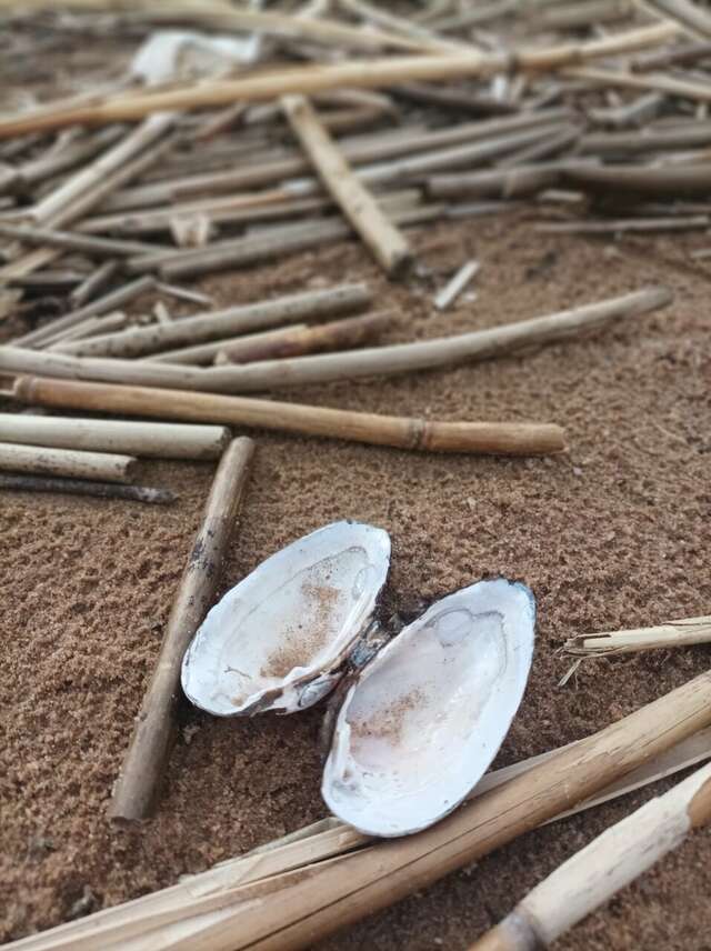 Отель Кантри Сестрорецк-105