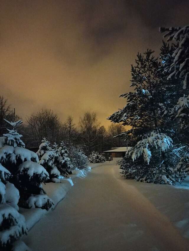 Отель Кантри Сестрорецк-133